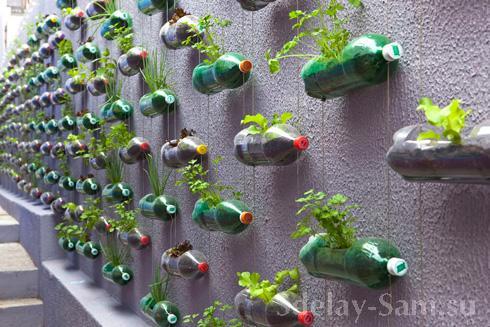 Сад из пластиковых бутылок - поделки для садоводов и любителей необычных садовых решений