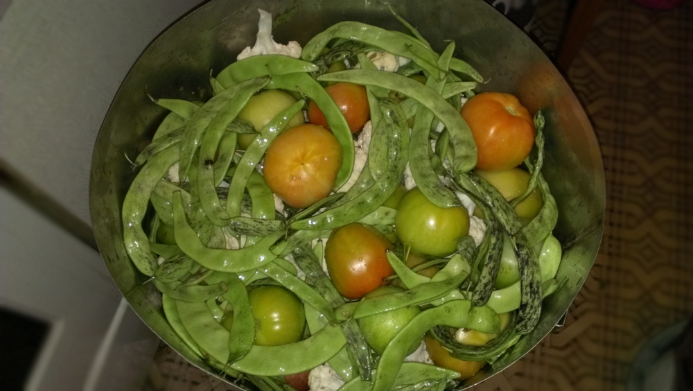 Капусту с помидорами можно. Квашеные зеленые помидоры. Квашеные овощи. Квашеная капуста с помидорами. Зеленые помидоры с капустой.