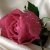 Аватар пользователя ulogin_facebook_10204312597394309