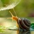 Аватар пользователя ulogin_vkontakte_88048863