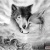 Аватар пользователя ulogin_vkontakte_200467888