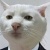 Аватар пользователя ulogin_vkontakte_338778984