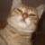 Аватар пользователя ulogin_vkontakte_338471482