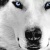 Аватар пользователя ulogin_vkontakte_56224343