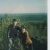 Аватар пользователя ulogin_vkontakte_71596038
