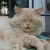 Аватар пользователя ulogin_vkontakte_145668385