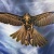 Аватар пользователя ulogin_vkontakte_3359550