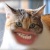 Аватар пользователя ulogin_vkontakte_399177103