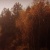 Аватар пользователя ulogin_vkontakte_42739731
