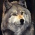 Аватар пользователя ulogin_vkontakte_328882491