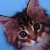 Аватар пользователя ulogin_vkontakte_188701910