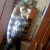 Аватар пользователя ulogin_vkontakte_543637496