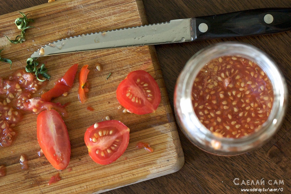Как правильно собрать семена томатов в домашних условиях?
