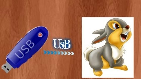 Флешка "Солнечный заяц" (USB-флеш-накопитель)