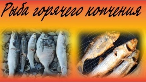 Рыба горячего копчения  Hot smoked fish