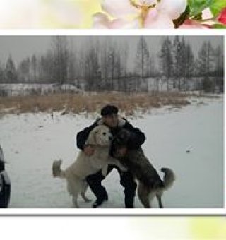 Аватар пользователя ulogin_facebook_190015674706958