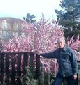 Аватар пользователя ulogin_facebook_120675465021122