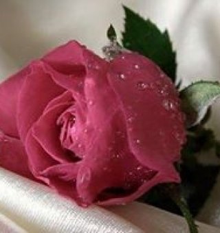 Аватар пользователя ulogin_facebook_10204312597394309