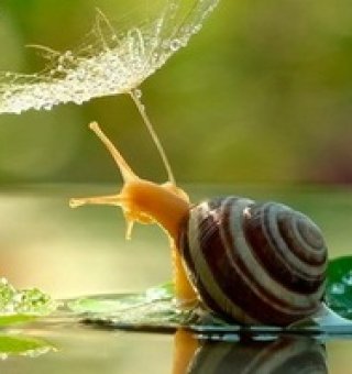 Аватар пользователя ulogin_vkontakte_88048863
