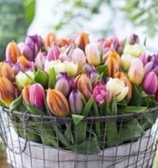 Аватар пользователя ulogin_vkontakte_326707697