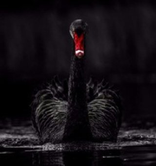 Аватар пользователя ulogin_vkontakte_110550654