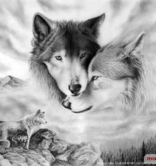 Аватар пользователя ulogin_vkontakte_200467888