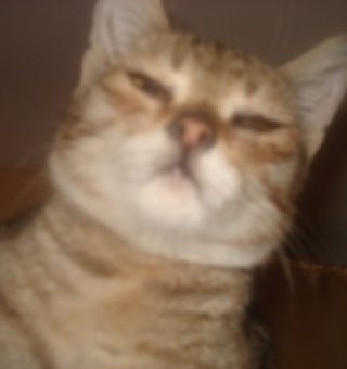 Аватар пользователя ulogin_vkontakte_338471482