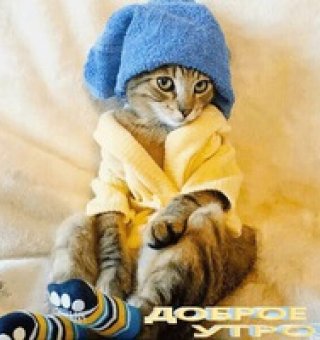 Аватар пользователя ulogin_vkontakte_389406314