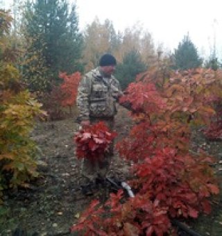 Аватар пользователя ulogin_vkontakte_465609675