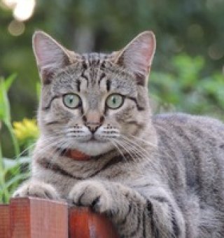 Аватар пользователя ulogin_vkontakte_207705811