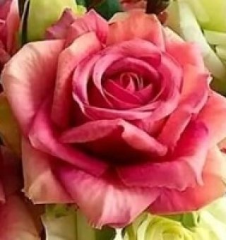 Аватар пользователя ulogin_vkontakte_279585617