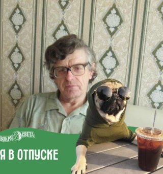 Аватар пользователя ulogin_odnoklassniki_841990545311