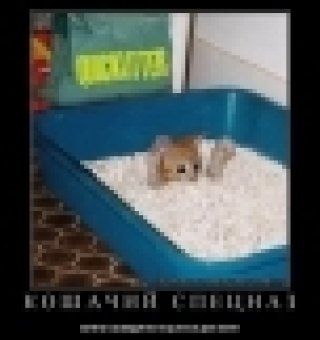Аватар пользователя соня1234567890