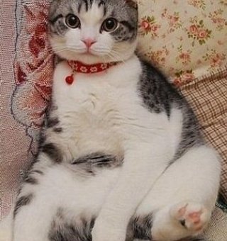 Аватар пользователя Loveeverywhere