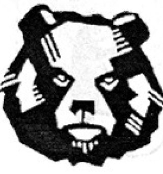 Аватар пользователя Bear