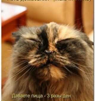 Аватар пользователя Assasin