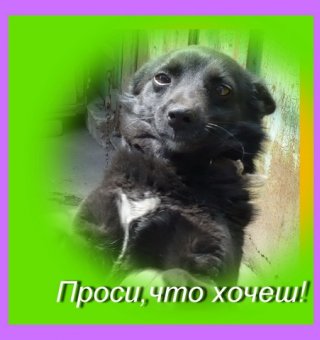 Аватар пользователя yur