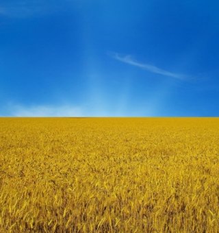 Аватар пользователя Okteach