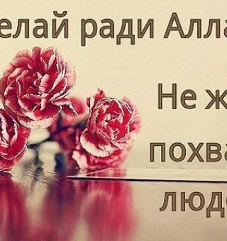 Аватар пользователя Ibragim