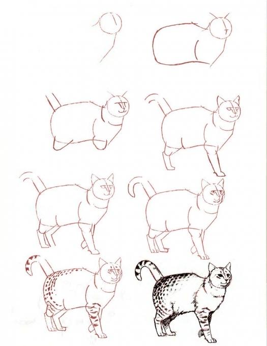Рисуем силуэт кошки